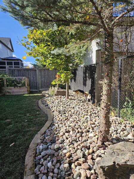 Eagle Strike Landscape Construction & Contracting