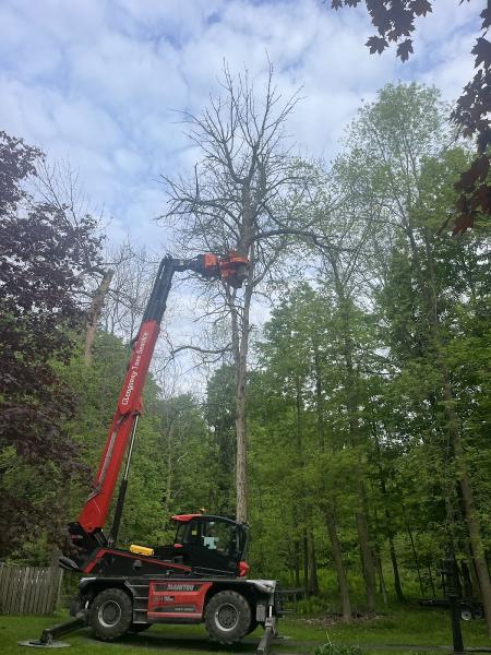 Glengarry Tree Service