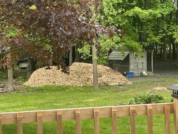 Glengarry Tree Service