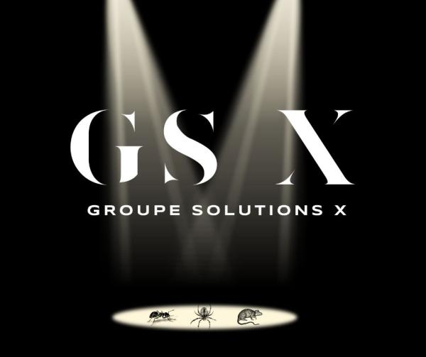 Groupe Solutions X