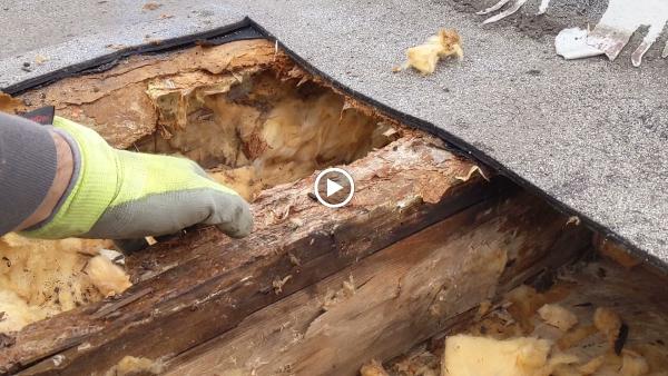 Archer Roofing & Repairs