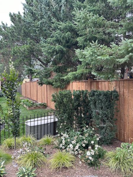 BH Fencing