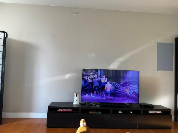 Pro Crew Painting Ltd
