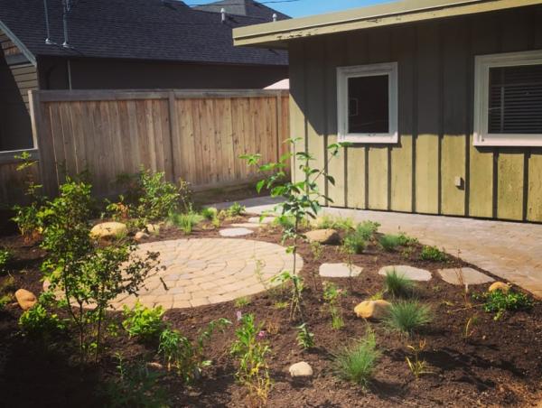Alder Environmental