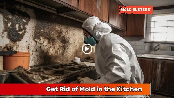 Mold Busters Ottawa