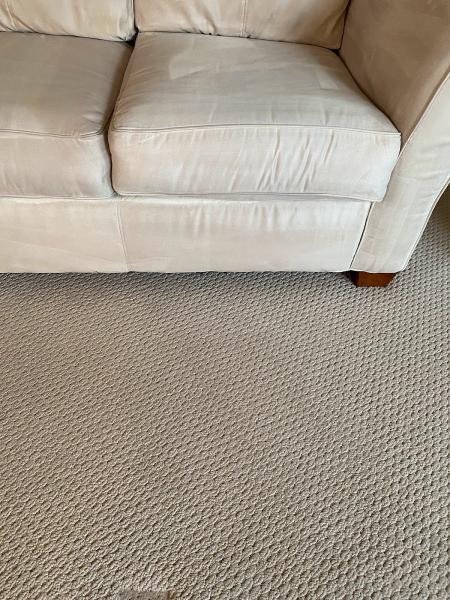 Shine Carpet Cleaning