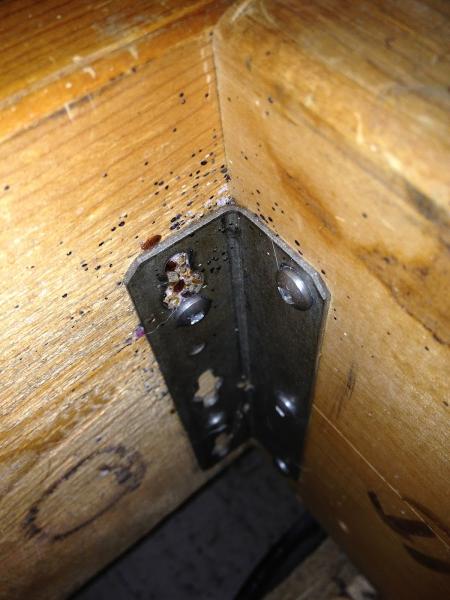 Pest Solution Services