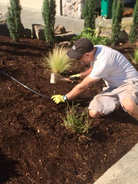 A Cut Above Landscaping