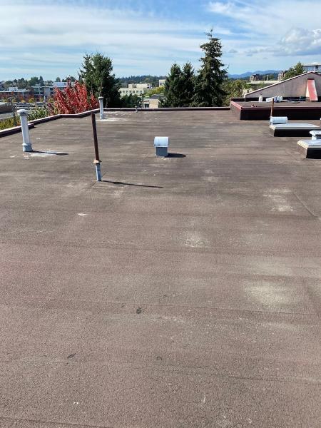 RM Moss Removal