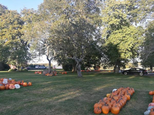 Lawns & Beyond Landscape Solutions