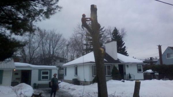 McMac Tree Service