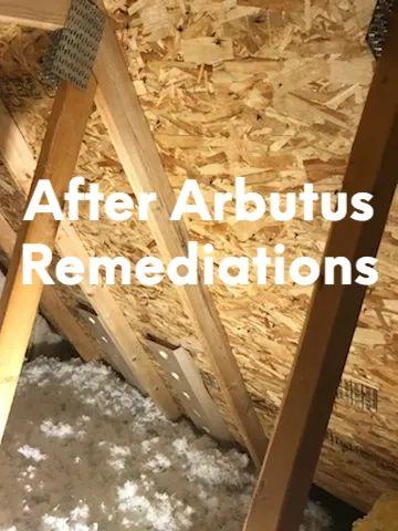 Arbutus Remediations