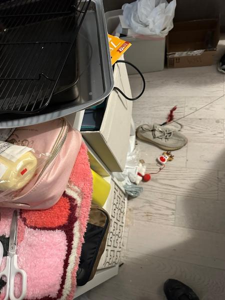 Benny's Painting Ltd