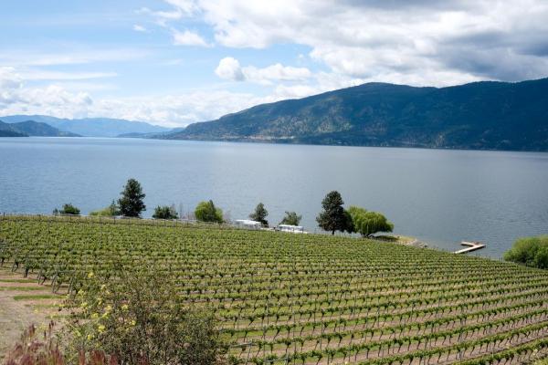 Okanagan Personal Estate Services