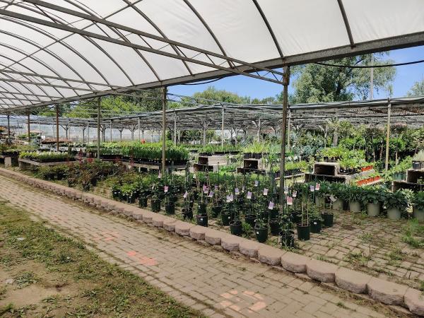 Holland Valley Nursery