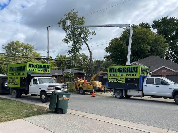 McGraw Tree Service