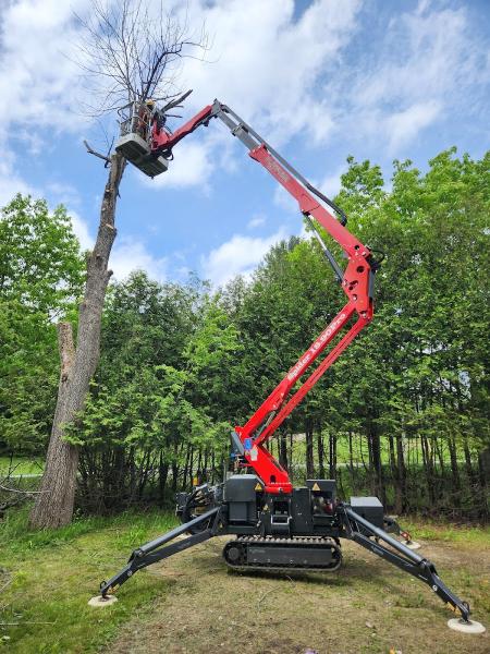 Service d'Arbres du Quartier