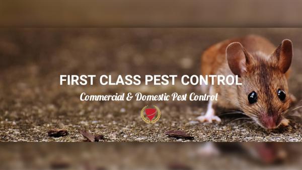 First Class Pest Control