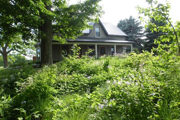 Wild by Design