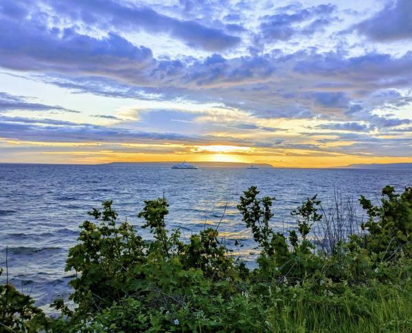 Austyn Mackinnon Real Estate