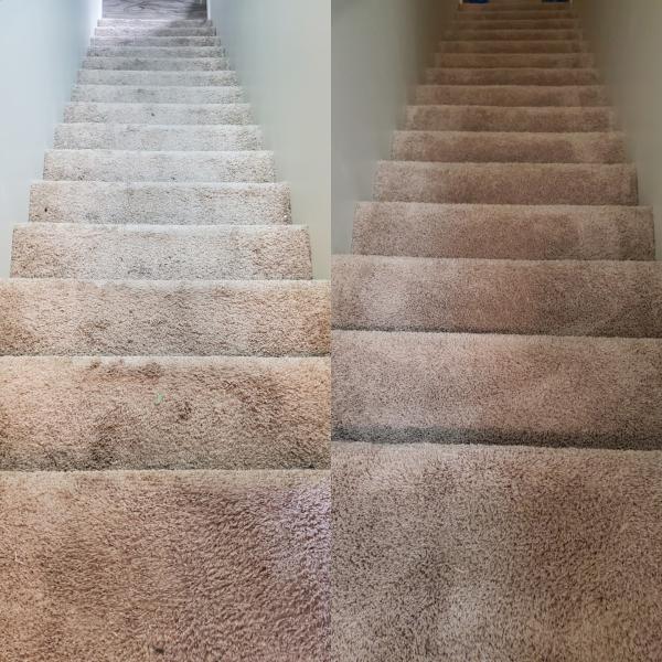 Winnipeg Professional Carpet and Upholstery Cleaning Service