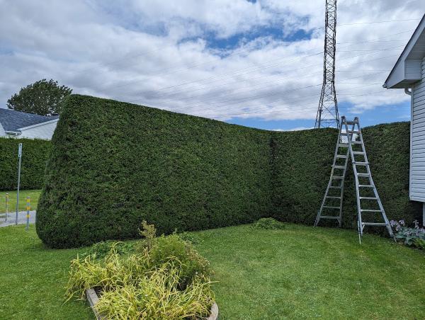 Entretien Paysager Eric Coutu