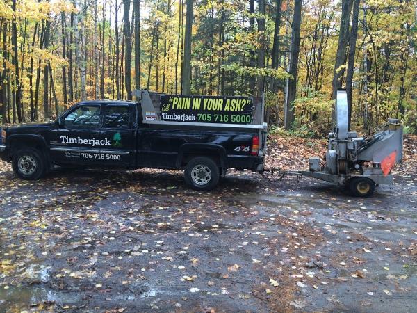 Timberjack Tree Service