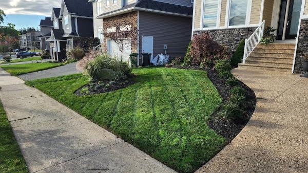 Lawn Mechanic