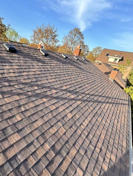 Ck Roofing Solutions