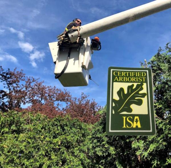 All Seasons Tree Service