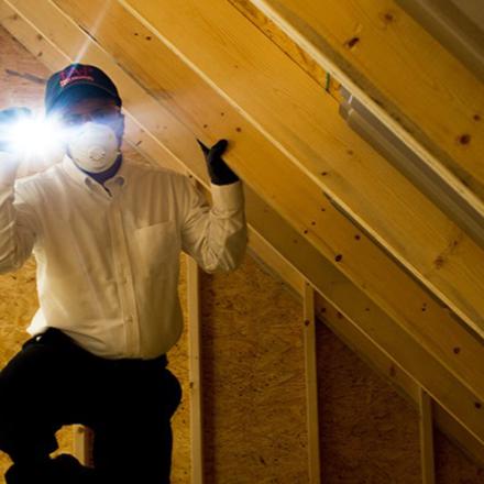 Can Guard Pest Solutions