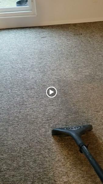 Lower Mainland Carpet Cleaning