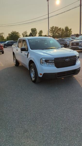 Integral XT Pest Control West Island