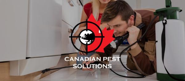 Canadian Pest Solutions