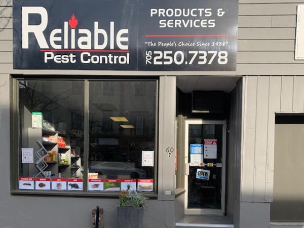 Reliable Pest Control Alliston