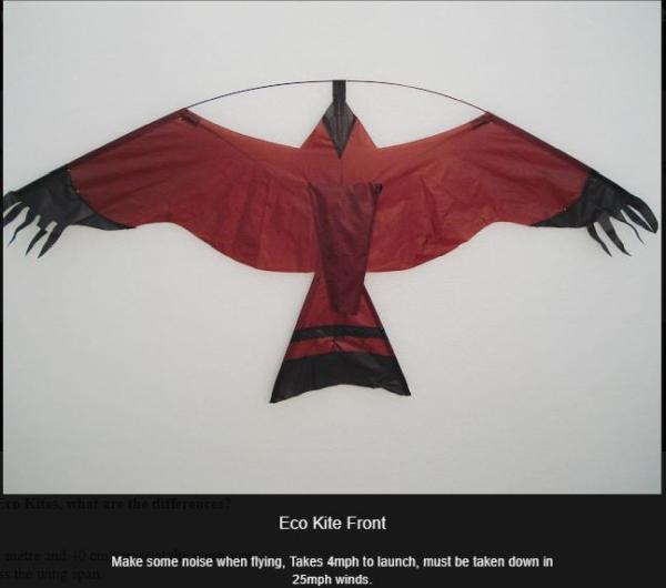 Hawk Kite Sales