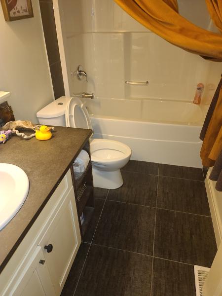 Diamond Cleaning