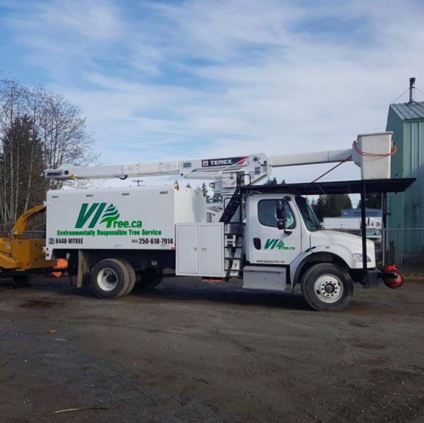 VI Tree Service