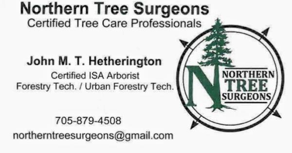 Northern Tree Surgeons