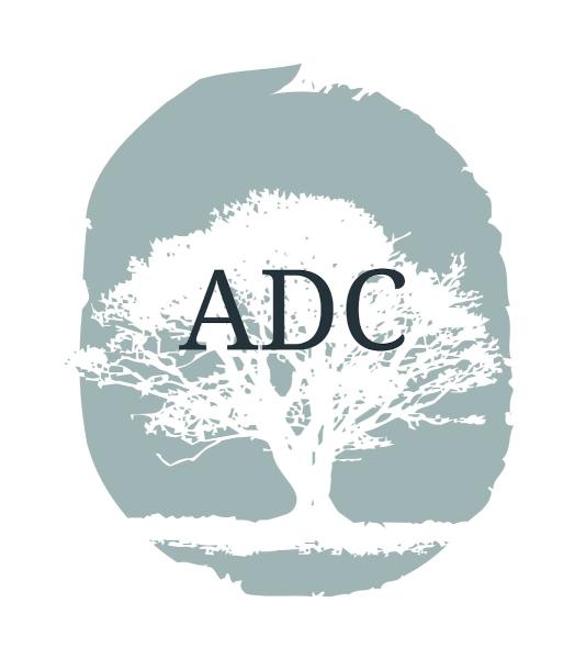 ADC Window Cleaning