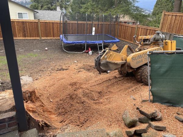 Sumo Stump Grinding