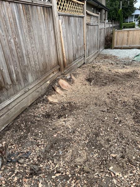 Sumo Stump Grinding