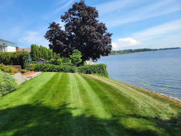 Greenfields-Pro Lawn Care