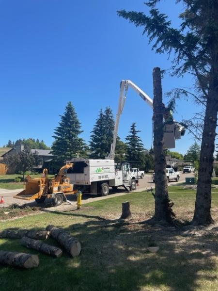 Canadian Tree Care