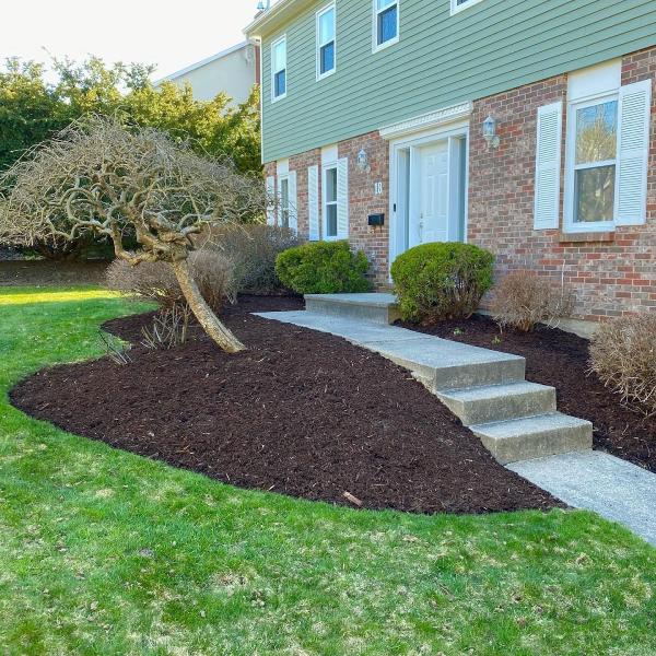 Carlton Landscaping