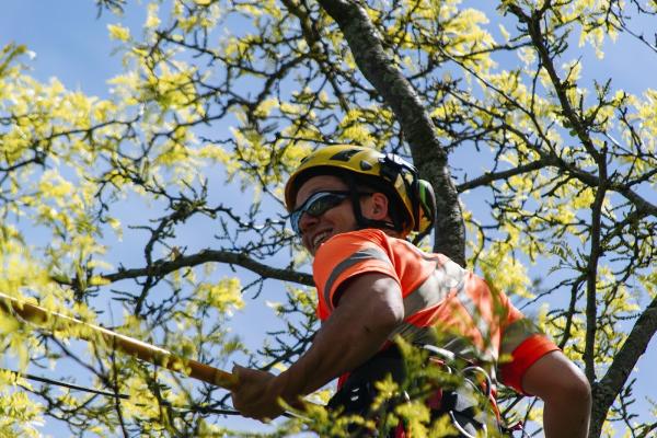 Able Tree Service Inc.
