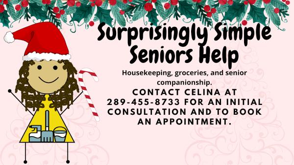 Surprisingly Simple Seniors Help