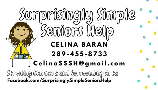 Surprisingly Simple Seniors Help