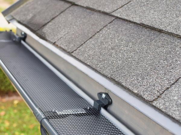 The Gutter Guy