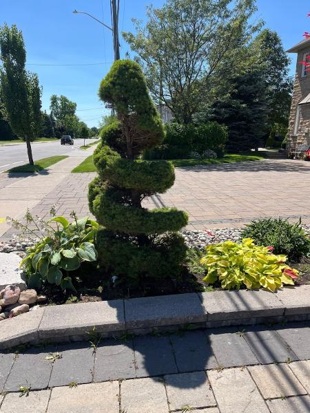 Garden Shine